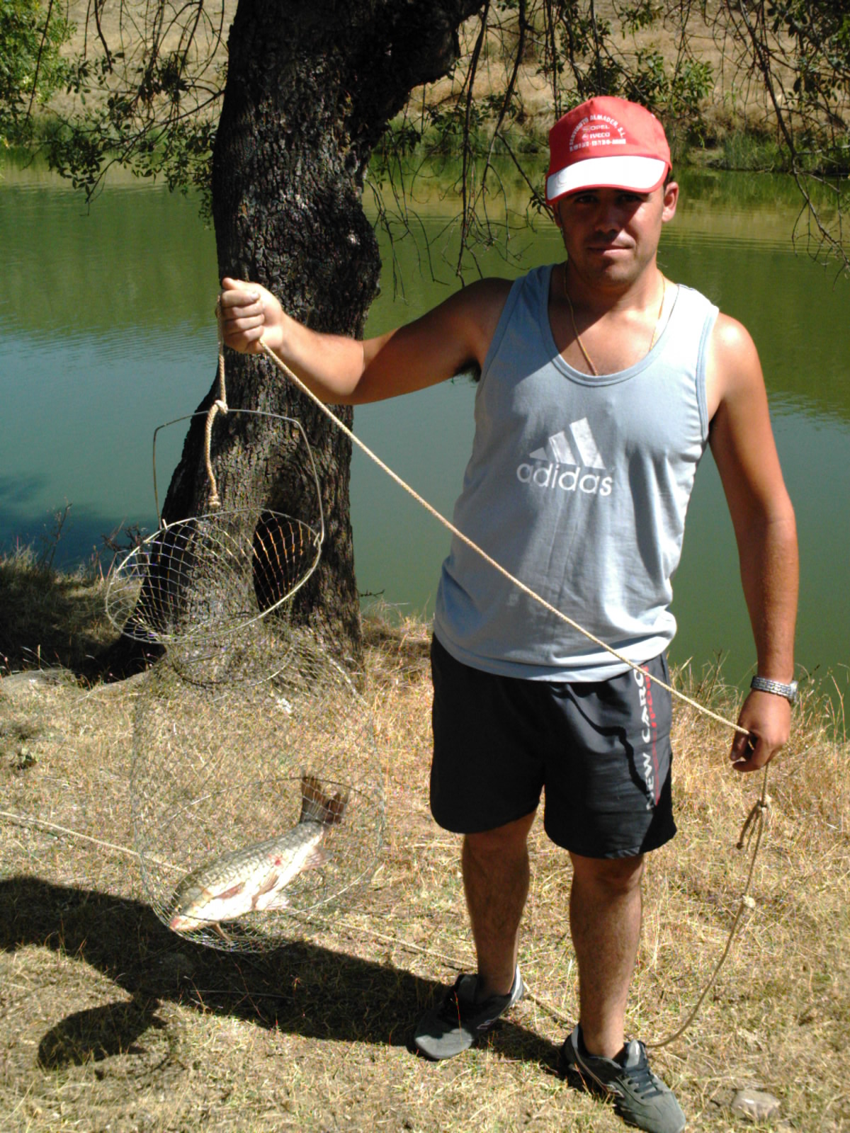 Pez gato cogido a lance en La Serena